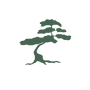 Bonsai Cha