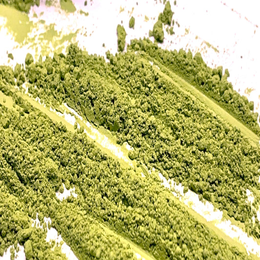 if you see a dull green color you know when matcha goes bad