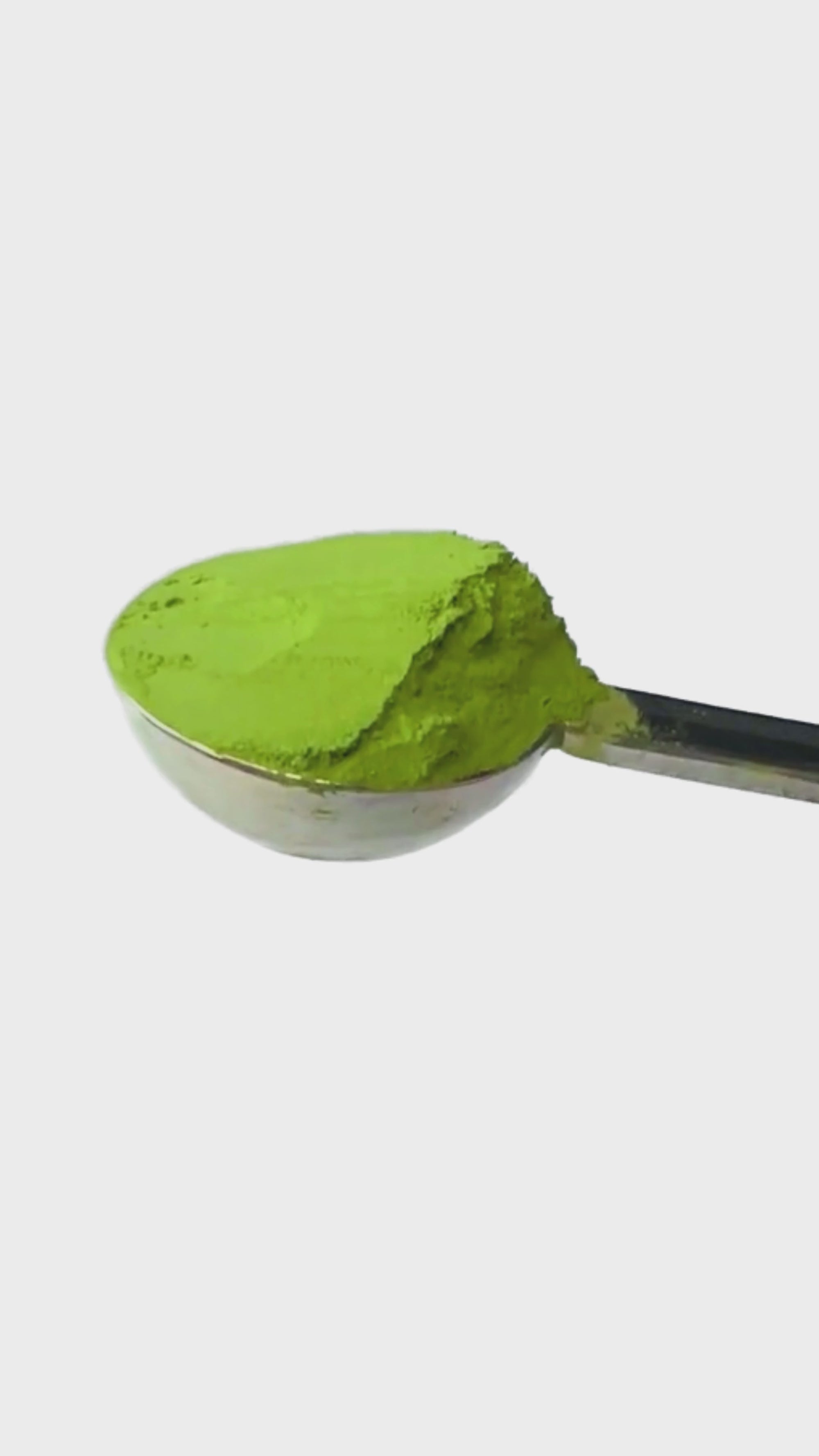 Premium Matcha Green Tea Powder in Spoon