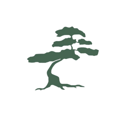 Bonsai Cha